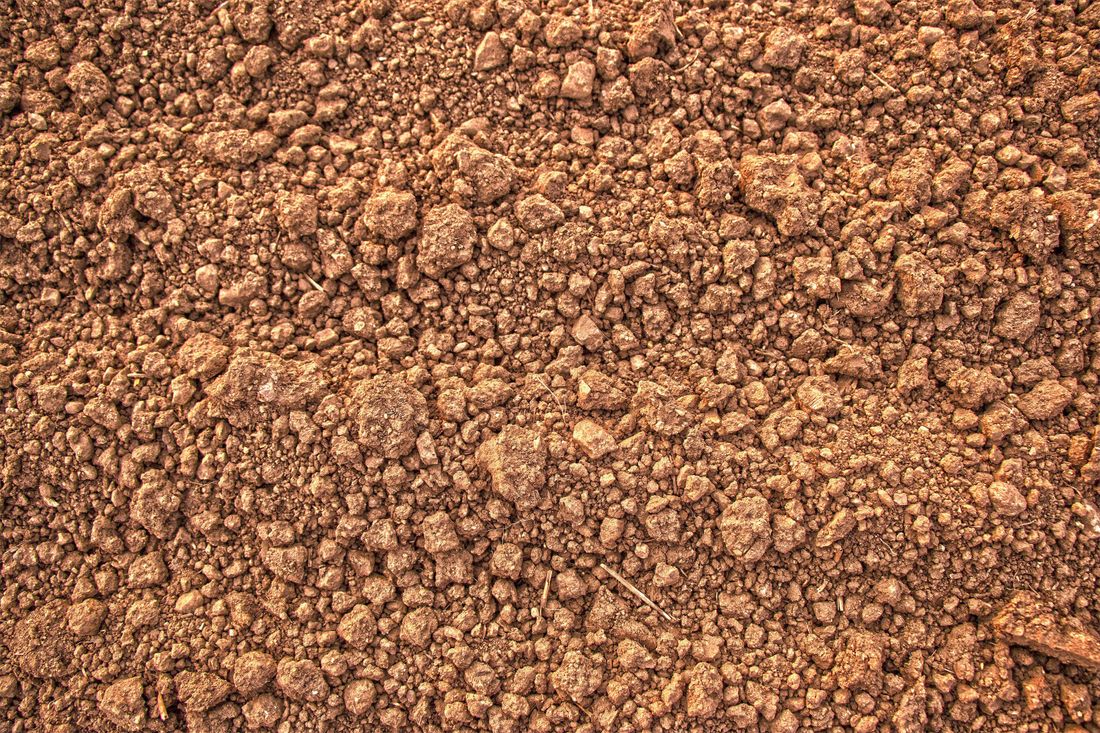 Fill Dirt