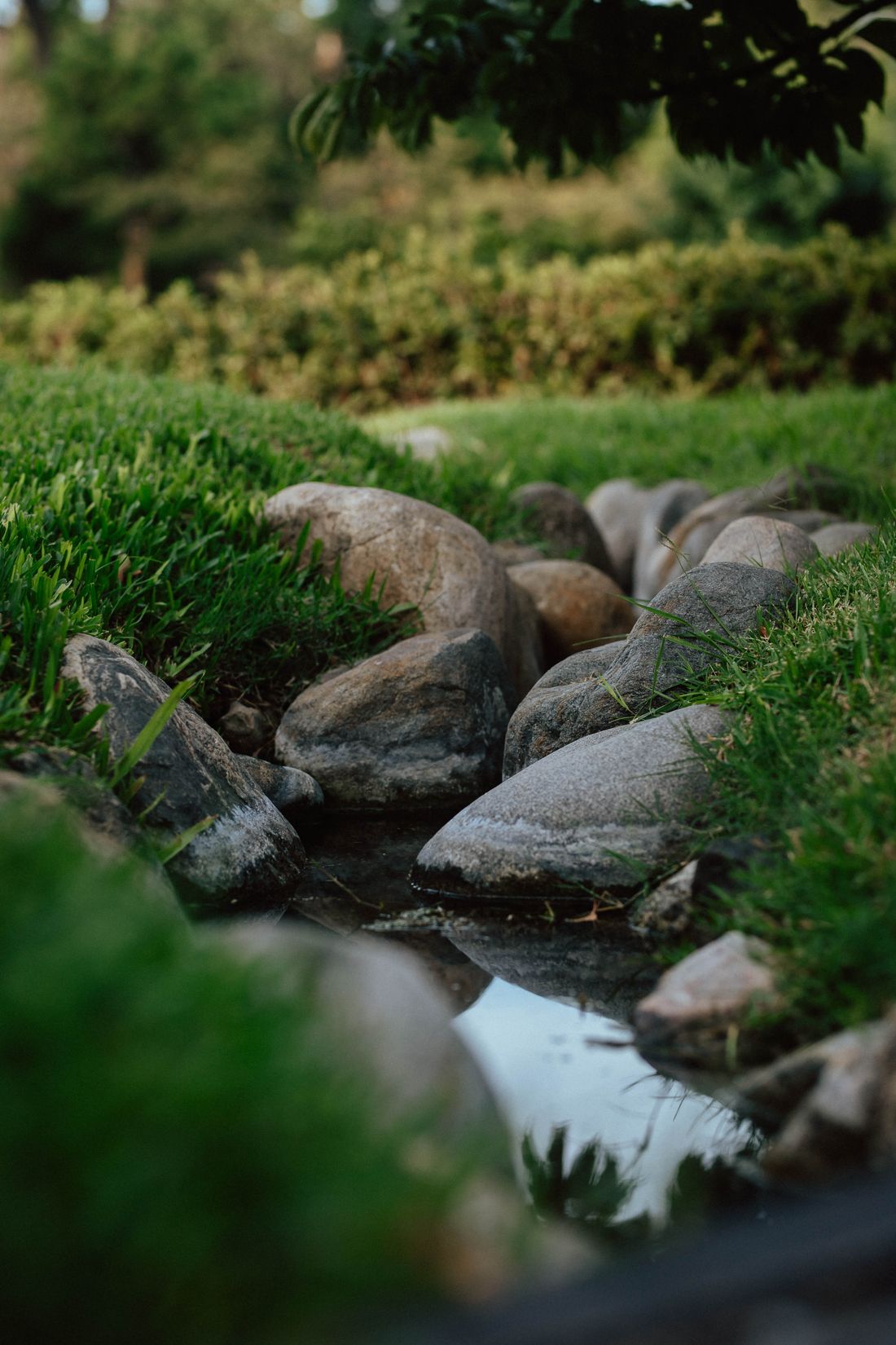 Decorative Rock